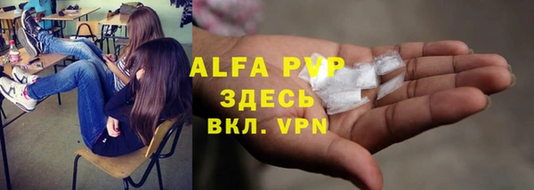 сатива Нязепетровск