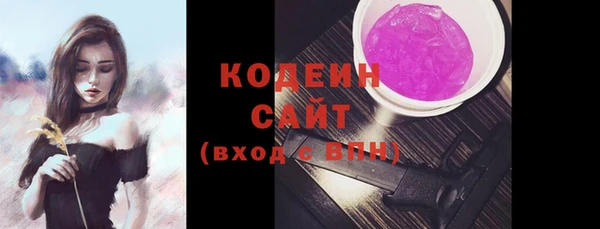 мет Новозыбков